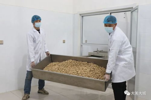 大城縣小微企業(yè)轉型初探 專注舌尖上的品質 市場調研